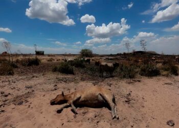Conagua sin presupuesto y en alerta por sequía