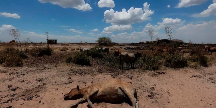 Conagua sin presupuesto y en alerta por sequía