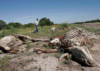 Conagua declara inicio de emergencia por sequía en México
