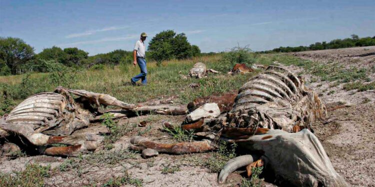 Conagua declara inicio de emergencia por sequía en México