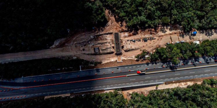 Juez mantiene suspensión al Tren Maya y ordena parar obras del Tramo 5