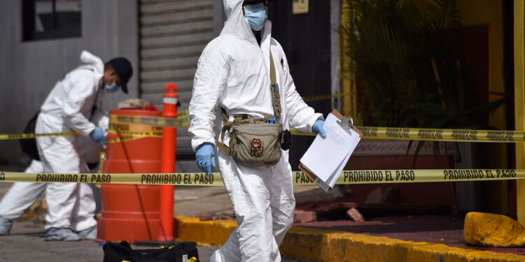 Cuatro años sangrientos: más de 132 mil homicidios marcan los 45 meses de gobierno de López Obrador