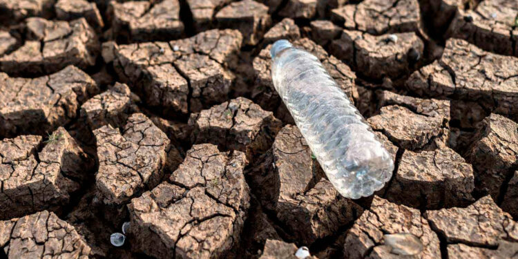 Sonora pasa de la sequía extrema a las inundaciones