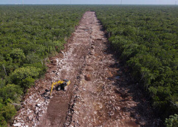 Ministro de la SCJN pide acuerdo que declara al Tren Maya un asunto de seguridad nacional