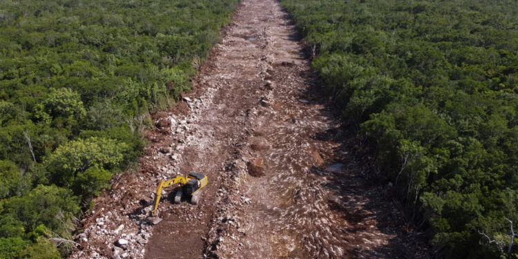Ministro de la SCJN pide acuerdo que declara al Tren Maya un asunto de seguridad nacional