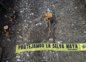 Juez otorga segunda suspensión definitiva contra obras en el tramo 5 del Tren Maya