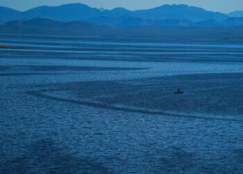 México, el lugar más letal para los ambientalistas