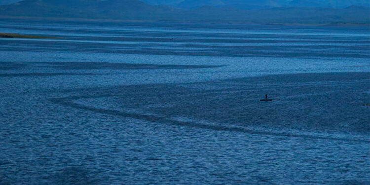 México, el lugar más letal para los ambientalistas