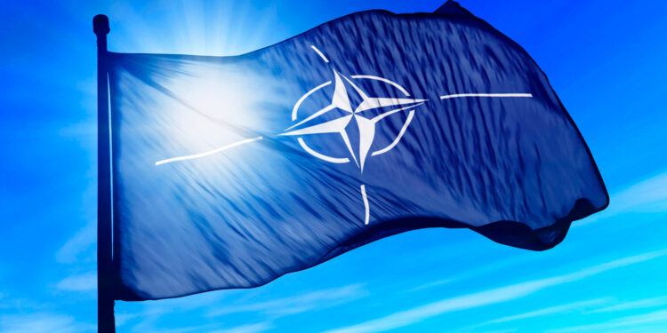 Roban documentos confidenciales de la OTAN y los ponen a la venta en la web