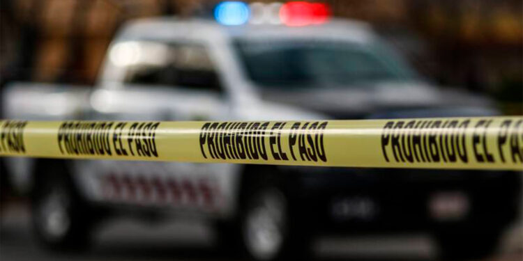 Hallan ocho cadáveres sobre carretera de Zacatecas