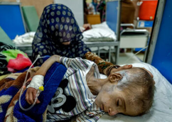 El hambre provoca una muerte cada cuatro segundos, alertan más de 200 ONG