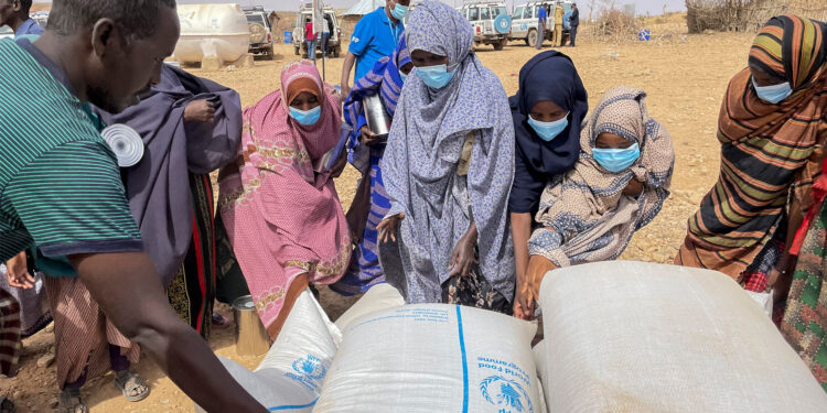 Hambre alcanza a casi 60 millones de personas en África; la mitad son niños