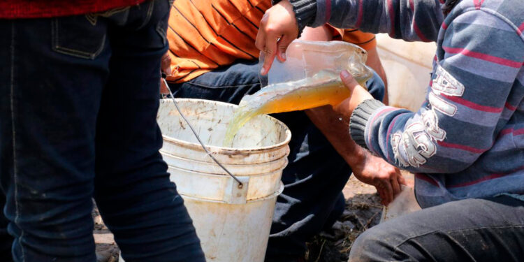 Corrupción y huachicoleo imparables