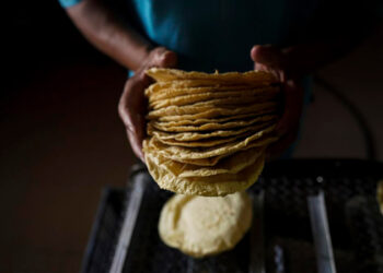 Ni para los taquitos con sal: Kilo de tortilla podría subir a 24 pesos
