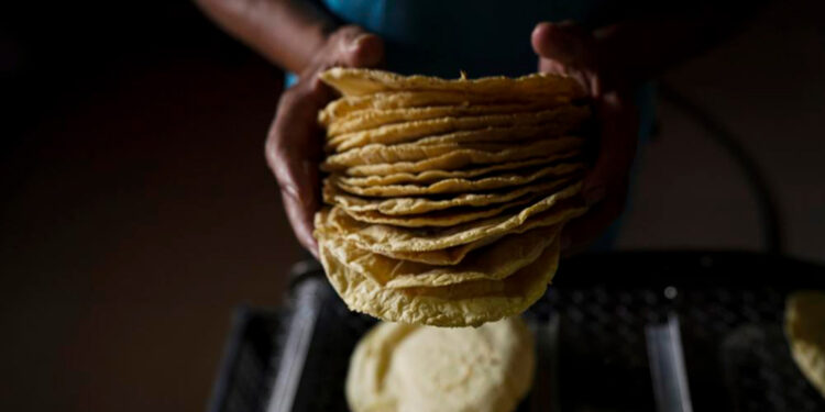 Ni para los taquitos con sal: Kilo de tortilla podría subir a 24 pesos