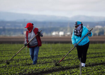 Mujeres mexicanas reciben 1.3 veces menos ingreso laboral que los hombres