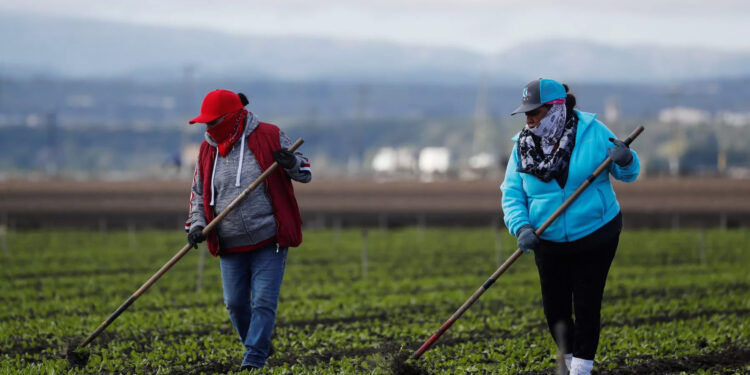 Mujeres mexicanas reciben 1.3 veces menos ingreso laboral que los hombres