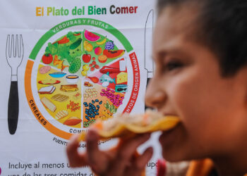 Nuevo León ocupa el primer lugar mundial en obesidad infantil