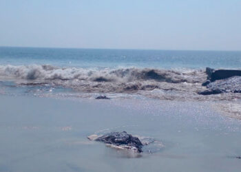 Derrame de petróleo contamina playas de Salina Cruz en Oaxaca