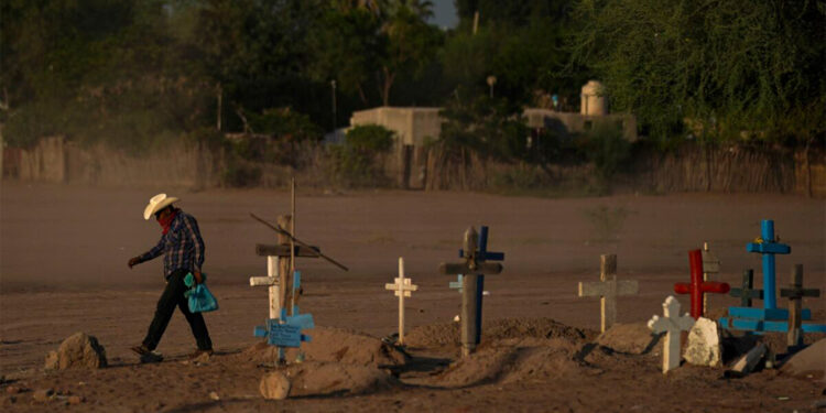 Gobierno de AMLO ha ejecutado a 22 activistas en 2022: Comité Cerezo México