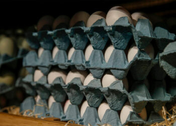 En estos estados de México el precio del huevo es menor a los 50 pesos