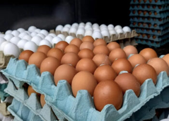 Profeco asegura que precio del huevo bajará en marzo