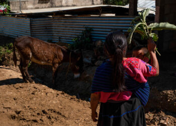 Violencia y pobreza, causas de migración de centroamericanas y mexicanas