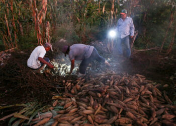 En aniversario 104 de Emiliano Zapata, millones de campesinos viven en pobreza
