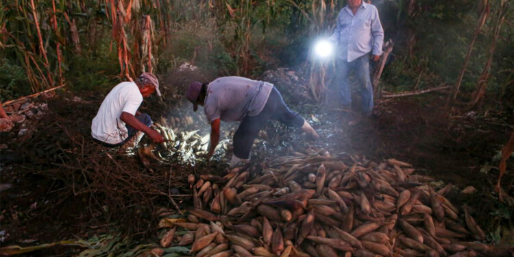En aniversario 104 de Emiliano Zapata, millones de campesinos viven en pobreza