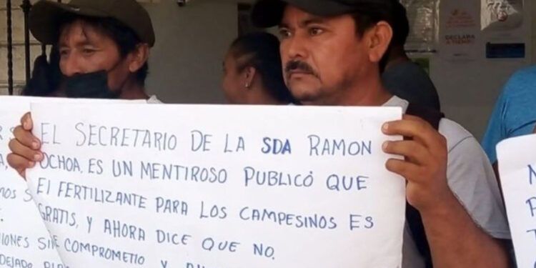 Morena niega fertilizante a campesinos mayas de Campeche
