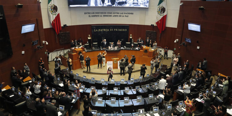 Deudores alimentarios y violentadores no podrán ocupar cargos públicos