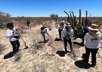 Mexicanas que pasan el Día de las Madres buscando a sus hijos desaparecidos