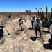 Mexicanas que pasan el Día de las Madres buscando a sus hijos desaparecidos