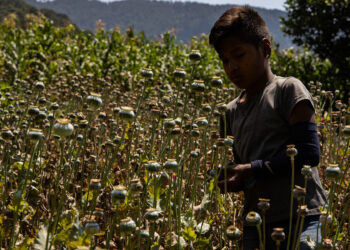 Pobreza: polvorín de la violencia en Guerrero