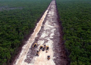 Gobierno de México expropia 51 inmuebles en Quintana Roo y Yucatán para Tren Maya