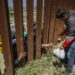 Vendedores de comida lucran con migrantes varados en Tijuana