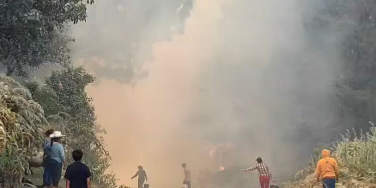 Arrecia incendio forestal en Zacatlán: consume 30 hectáreas y una vida humana