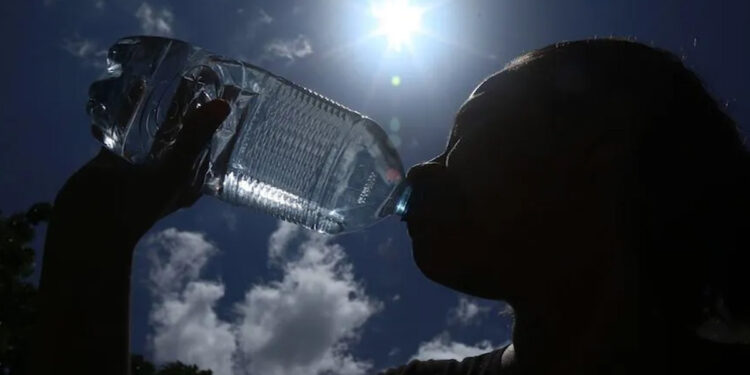 Secretaría de Salud: ocho muertos por ola de calor