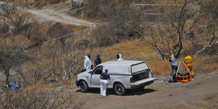 Jalisco: Restos encontrados coinciden con los 8 trabajadores de call center