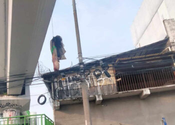 Hallan cuerpos descuartizados en Toluca