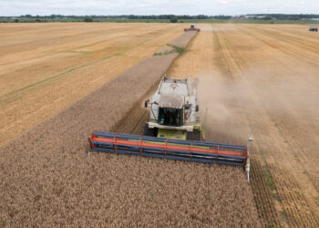 Expira acuerdo de exportación de granos; Moscú lo retomará cuando cumplan sus condiciones