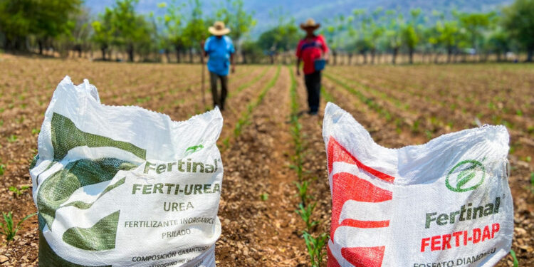 Segalmex, fertilizantes del Bienestar y créditos a ganaderos reportan desfalcos millonarios