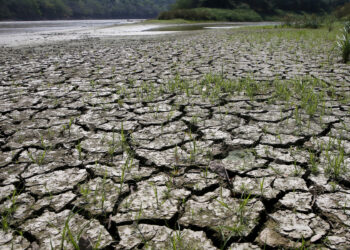 Inicia fenómeno meteorológico ‘El Niño’: advierten altas temperaturas en todo el mundo