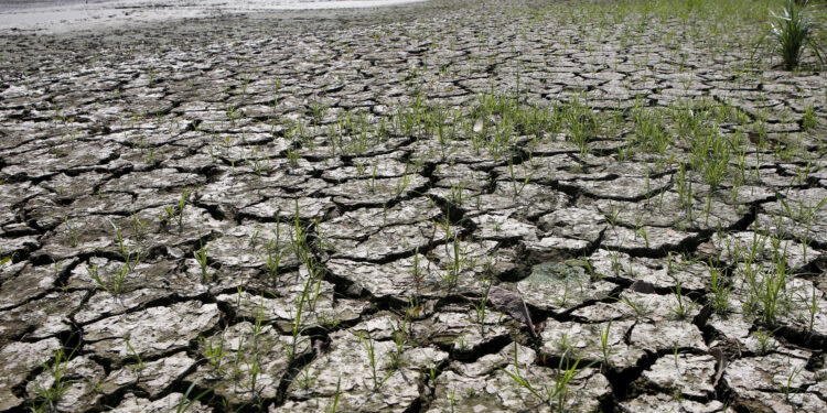 Inicia fenómeno meteorológico ‘El Niño’: advierten altas temperaturas en todo el mundo