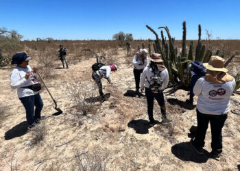 ONU pide proteger a funcionarios que investigan desapariciones