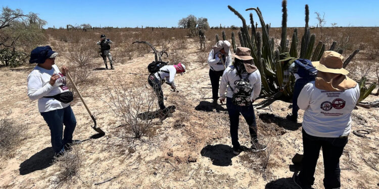 ONU pide proteger a funcionarios que investigan desapariciones