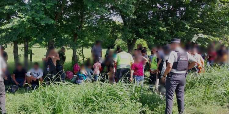 Localizan en operativos a 256 migrantes en Veracruz