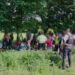 Localizan en operativos a 256 migrantes en Veracruz