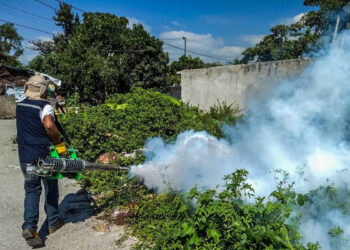 En Morelos hay dengue y no hay medicamentos