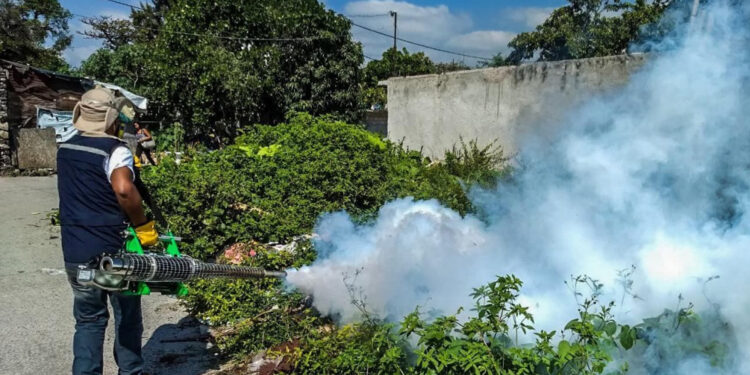 En Morelos hay dengue y no hay medicamentos